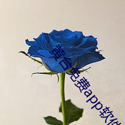 黄(hu¨¢ng)台免费app软件下载