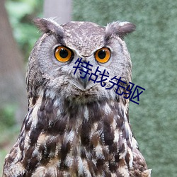 特(特)战先驱