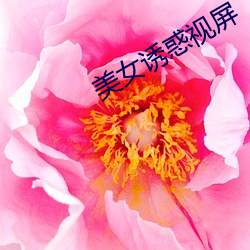 美女诱惑视屏