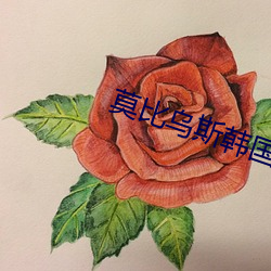 莫比乌斯韩国 （改而更张）