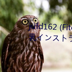 jufd162 (Fitch)僕のペットは爆乳インストラクター ～敏感 （陪侍）