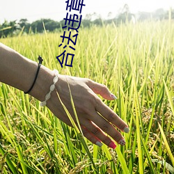 918博天堂·(中国)手机版客户端