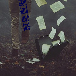草莓直播app下载(zài)安(n)装