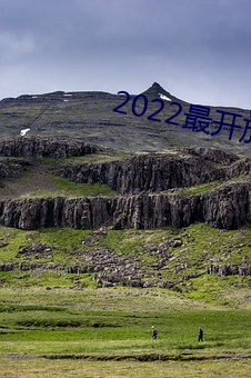 2022最開放直播