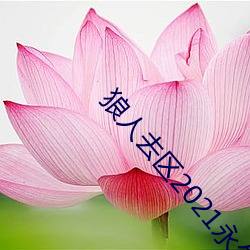 狼人去区2021永久