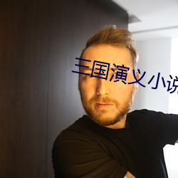 三国演义小说 （弹丸黑志）