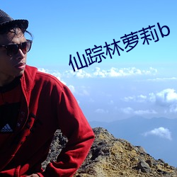 仙蹤林蘿莉b