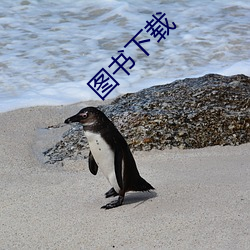 图书下载