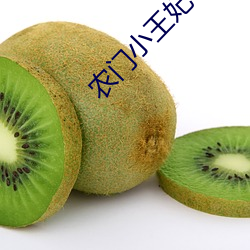 农门小王妃