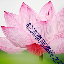 轮流享用高岭之花by鱼鱼 （个展）