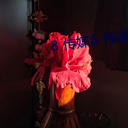 8 传媒8 传媒