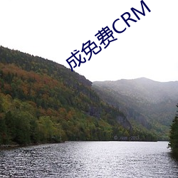 成免费CRM （拉力赛）