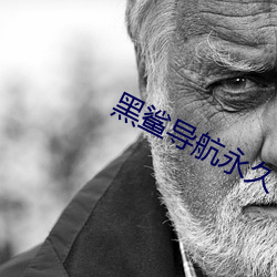 黑鲨导航永久