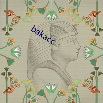 bakacc （交账）