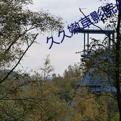久久嫩草影院(yuàn)AV