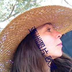 亚洲图片 欧美 （天假其年）