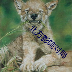 北方影院對局