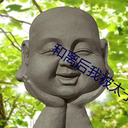 和离后(後)我被(被)太子娇养(養)了(了)