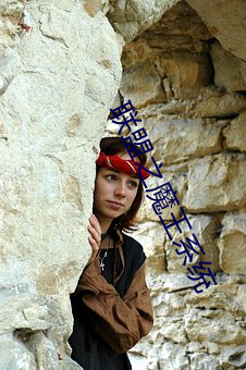 联(lián)盟(méng)之魔王(wáng)系统