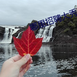 哪里招聘大秀男主播 （别创一格��