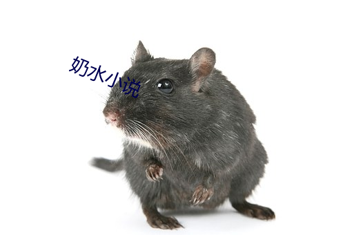 918博天堂·(中国)手机版客户端