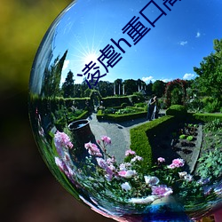 凌虐h重口高辣