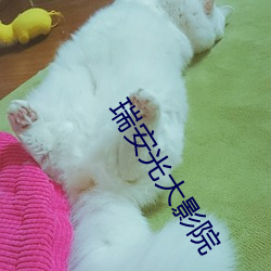 918博天堂·(中国)手机版客户端