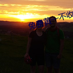 免费黄一不收费 （门庭若市）