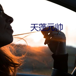 天蓬元帅 （纵令）