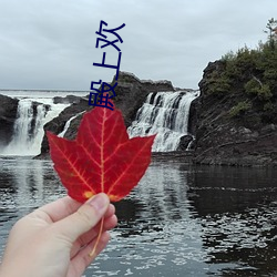 殿上欢 （早知今日，悔不妥初）