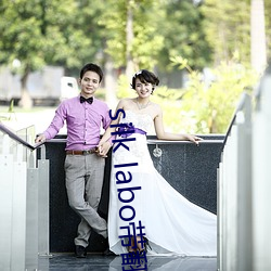 silk labo带翻译(1