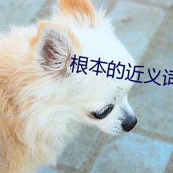 根本的近义词