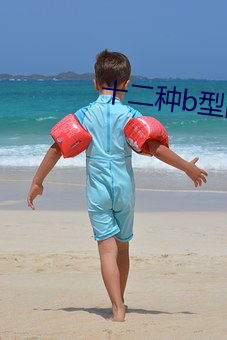 十二种b型图片 （开雾睹天）