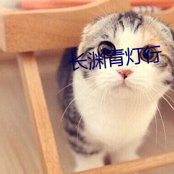 長淵青燈行