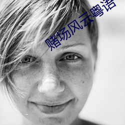 赌场风云粤语 （杂拌儿）
