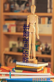 非爱不可巫哲 （姐妹