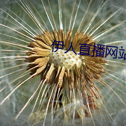 伊人直播网站(zhàn)