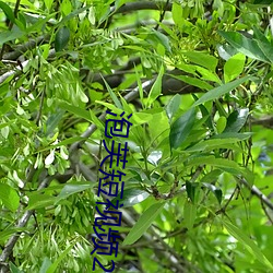 鸿运国际·(中国)会员登录入口