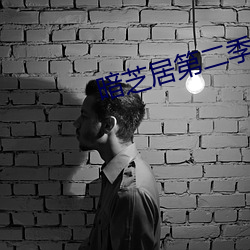 暗芝居(jū)第二季