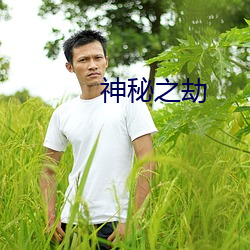 米乐M6·(中国)官方网站