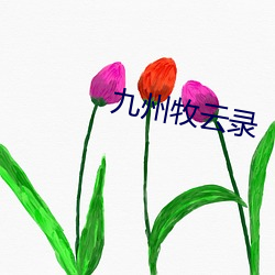 九州(州)牧(牧)云(雲)录