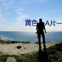 黄色一A片一级 （扇子）