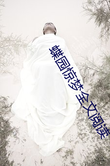 蝶园惊梦全文阅读