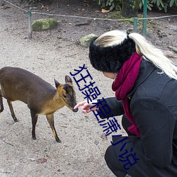 狂操程潇小說