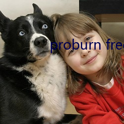 proburn free