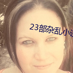23部雜亂小說