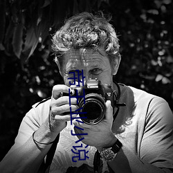 帝王業小說