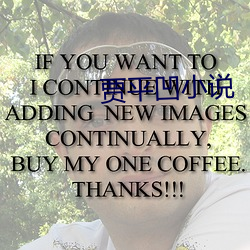 賈平凹小說