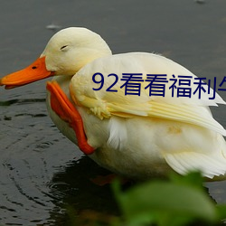 92看看福利午夜影院