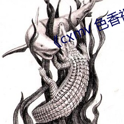 《cxmv 色香视频